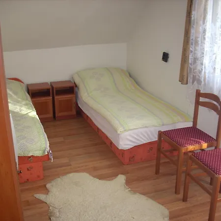 Fanni Vendeghaz מישקולץ